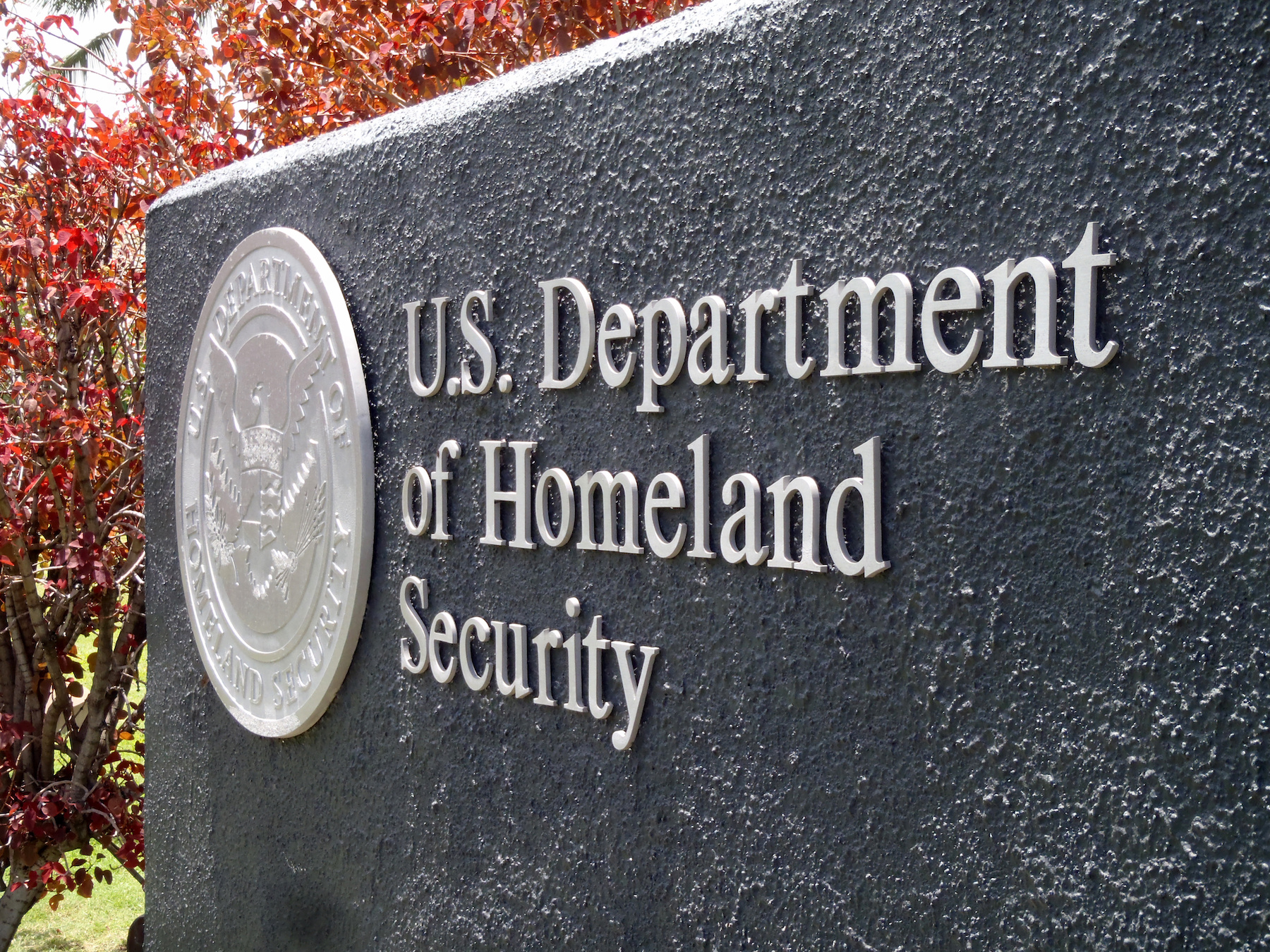 The Inside Scoop on Winning a Contract on DHS PACTS III