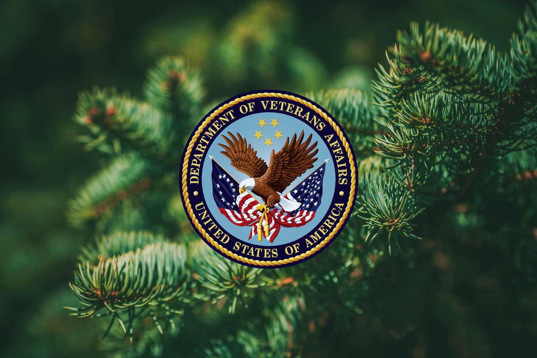 VA’s $2.4B IT IDIQ: SPRUCE Final RFP is Out